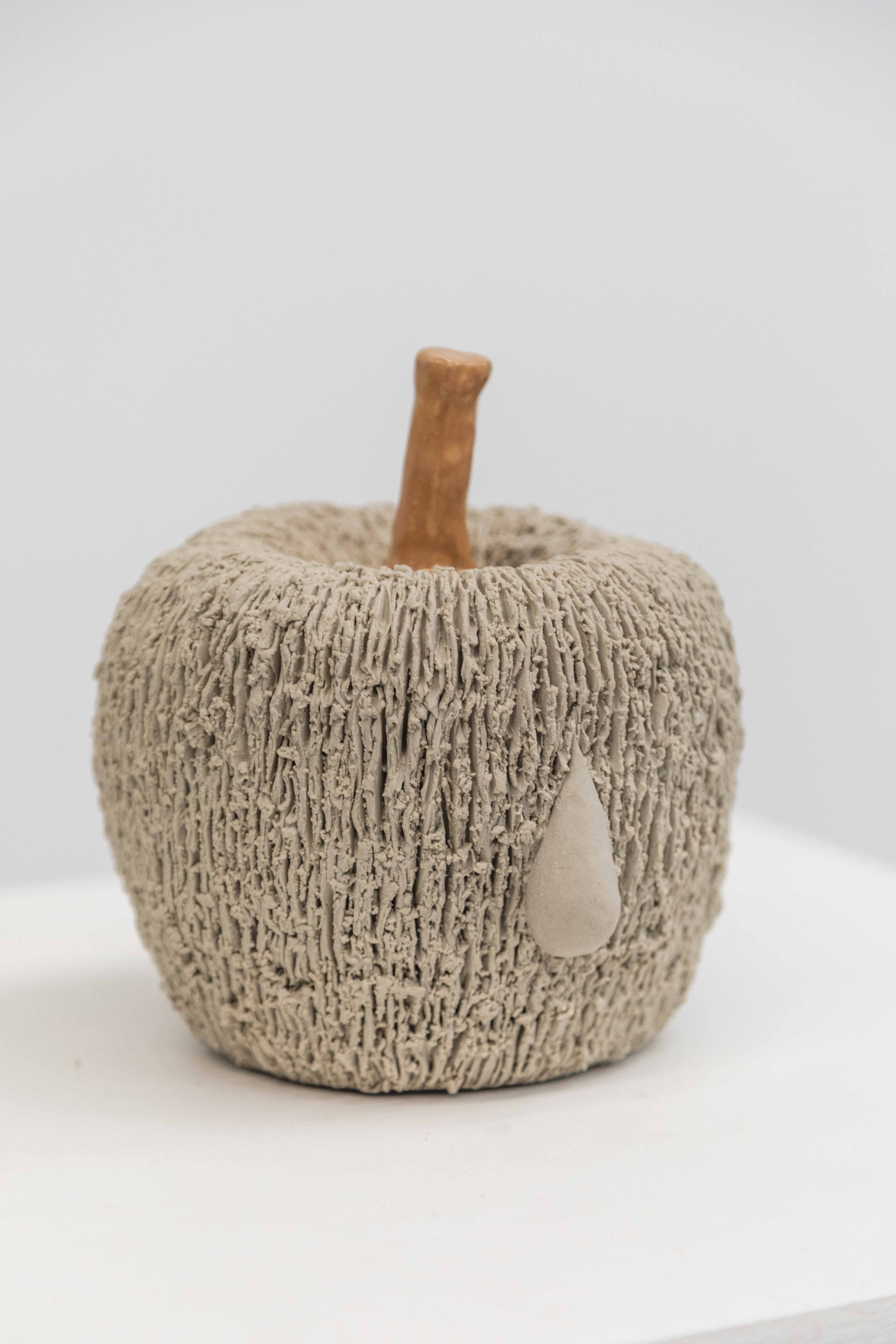 - file://4BfXssU2wJ1tUV0o