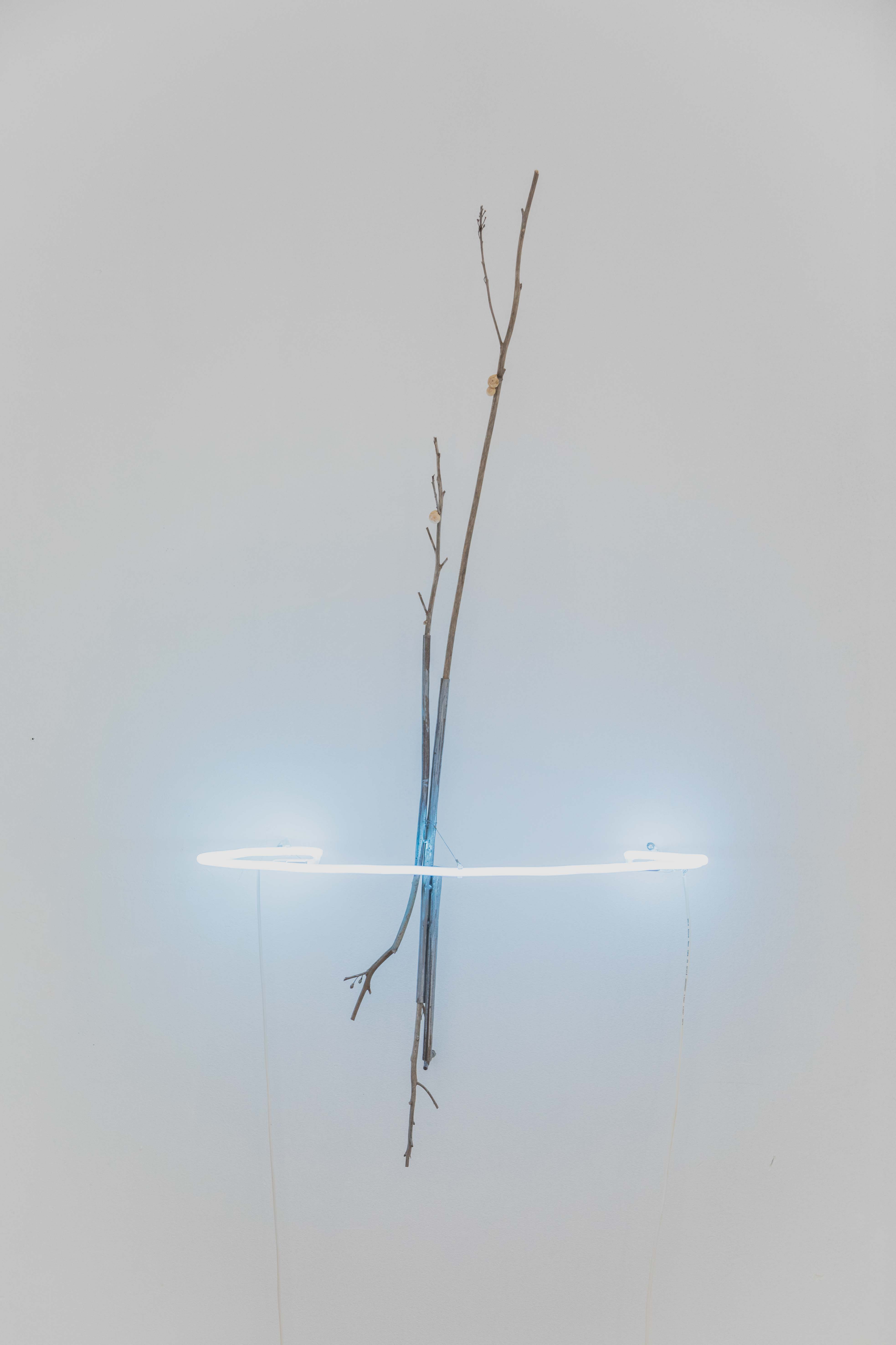 - file://IgKngPWXii0WmMgr